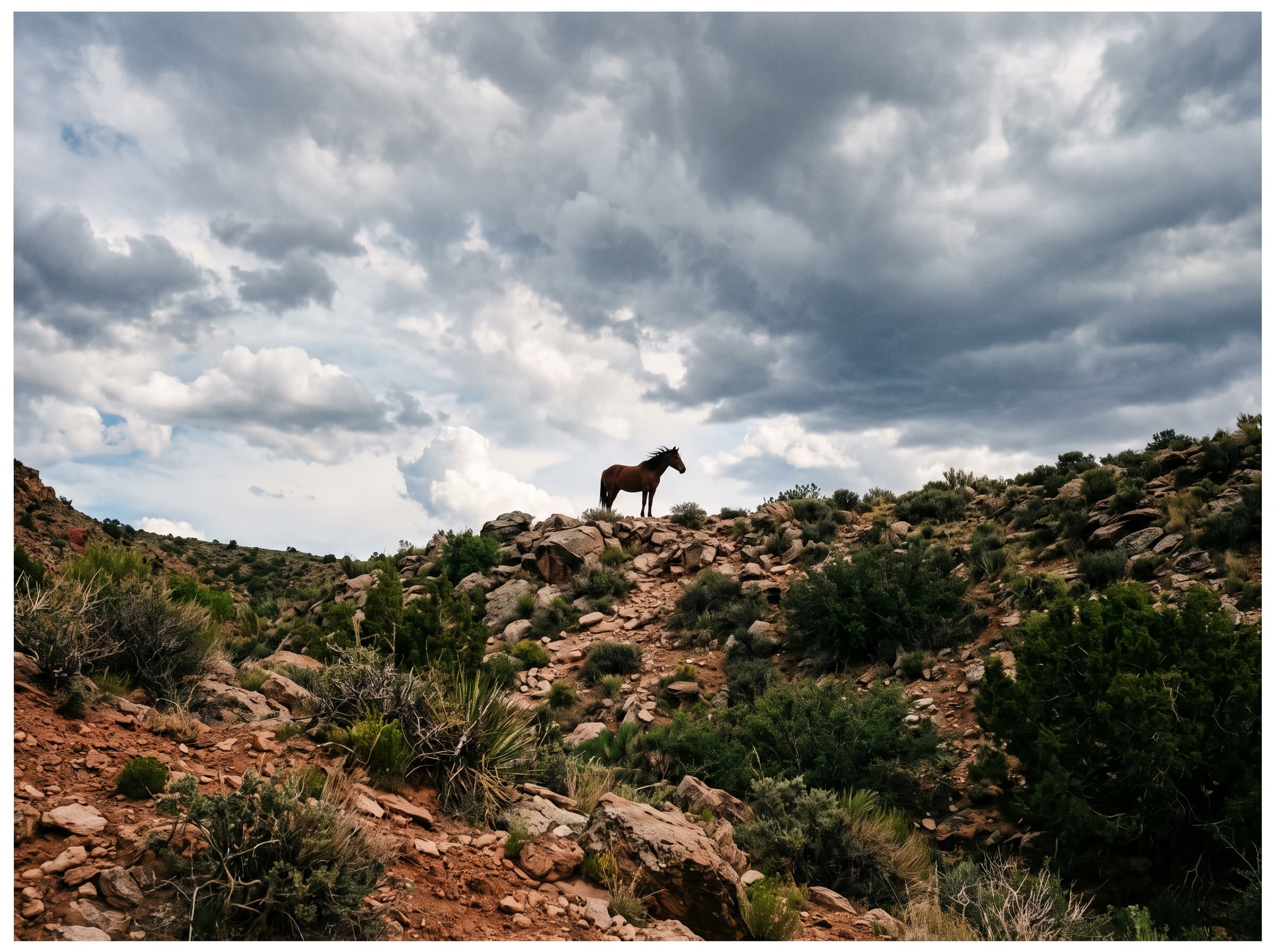 A lone horse stands on a rocky, scrub-covered ridge under a stormy sky.